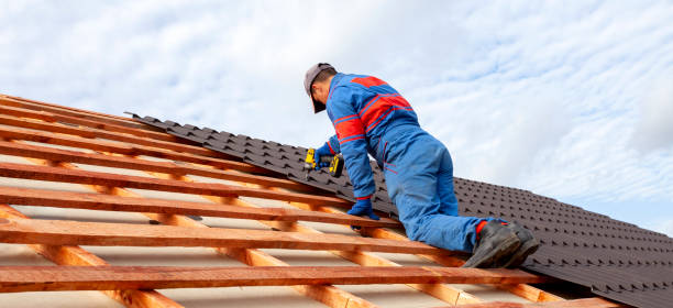 Best Chimney Flashing Repair  in Sumner, IL